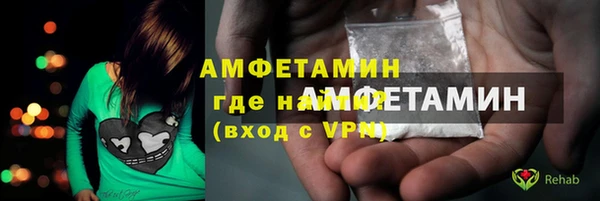 сатива Балахна