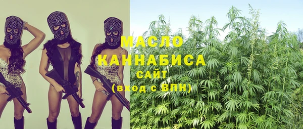 сатива Балахна