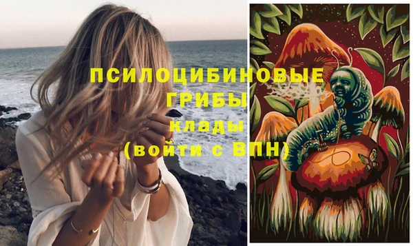 сатива Балахна