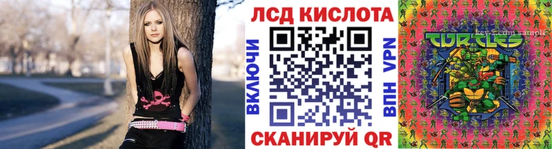 дарнет шоп  Верея  ссылка на мегу как зайти  Наркотические марки 1,8мг 